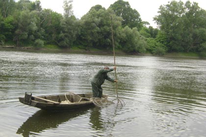 Ribarski alat - Velika vrška